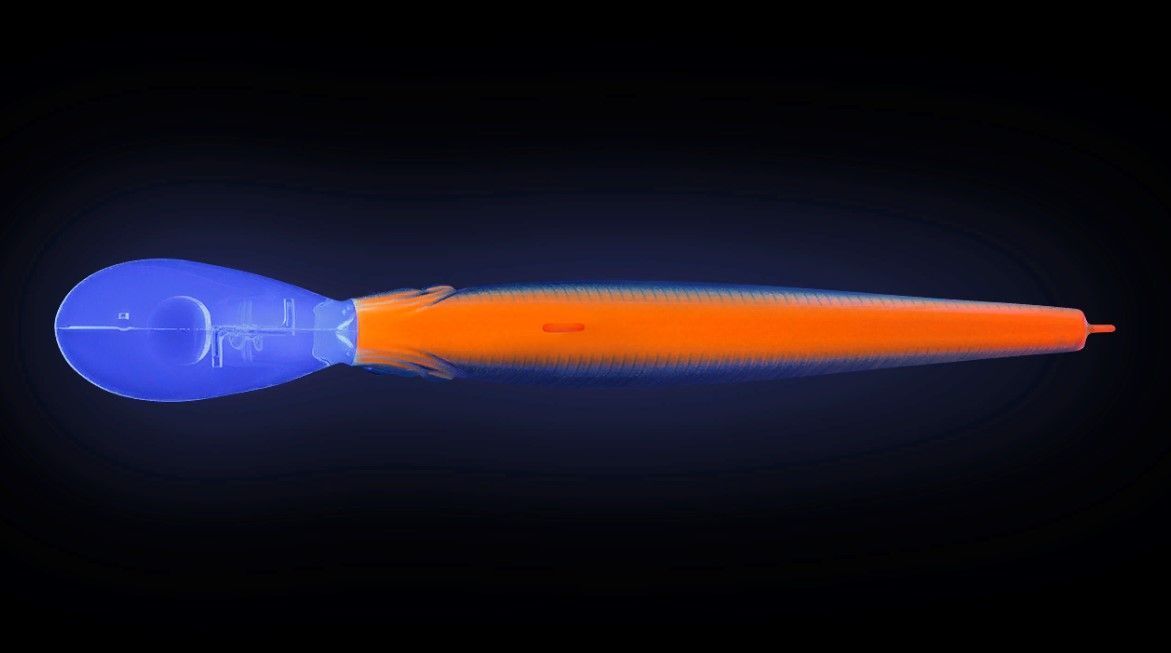 Воблер Strike Pro Jumper DR 90SP A142-264 Arctic Char 11 гр   EG-192BL-SP#A142-264 — крупный план
	                                    1