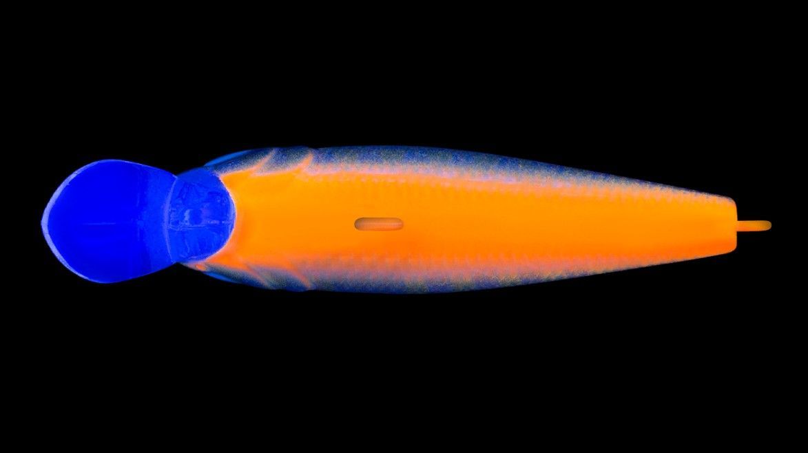 Воблер Strike Pro Midge 40 A234-SBO-LU Blue Back Silver OB Fluo 2 гр   EG-074SP#A234-SBO-LU — крупный план
	                                    1