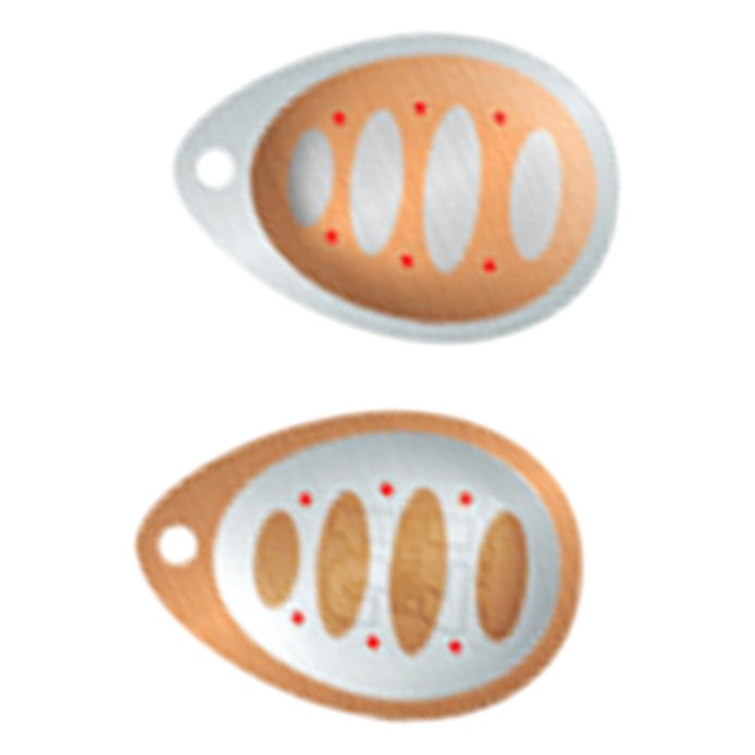 Вращающаяся Блесна Pontoon 21 Synchrony №3.5 11,4 гр C03-002   P21-SP-SYN-#3.5-C03-002 — характеристики,
	                                    особенности конструкции