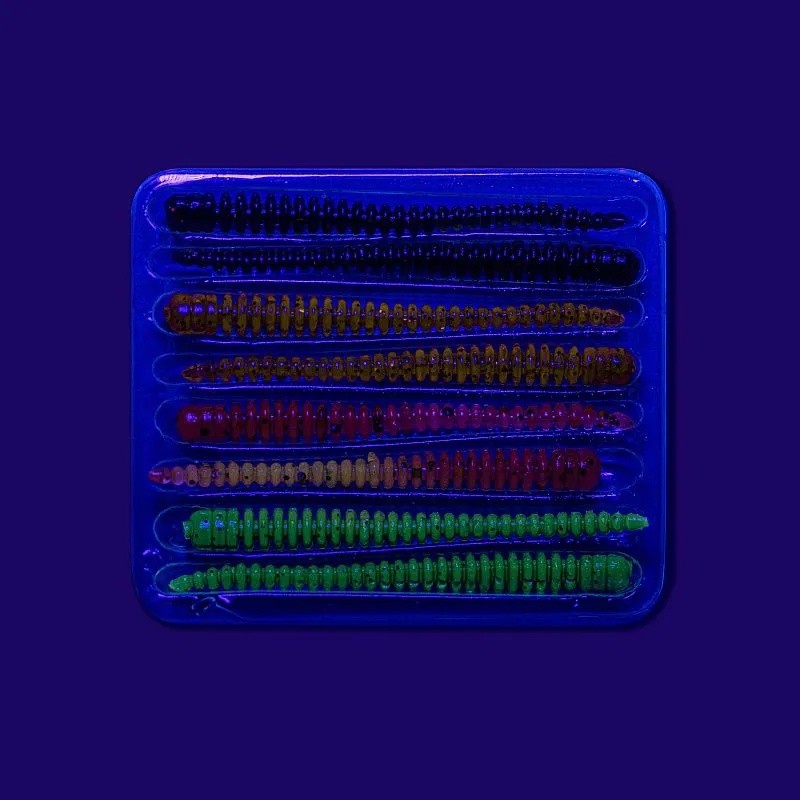 Силиконовая приманка CF Company Cruel Leech 2.2 55 мм 8 шт M53   8-55-M53-6 — крупный план
	                                    2