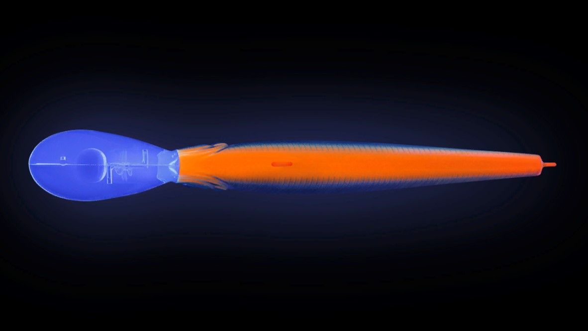 Воблер Strike Pro Jumper DR 90SP A70-713 Black Silver OB 11 гр   EG-192BL-SP#A70-713 — крупный план
	                                    1