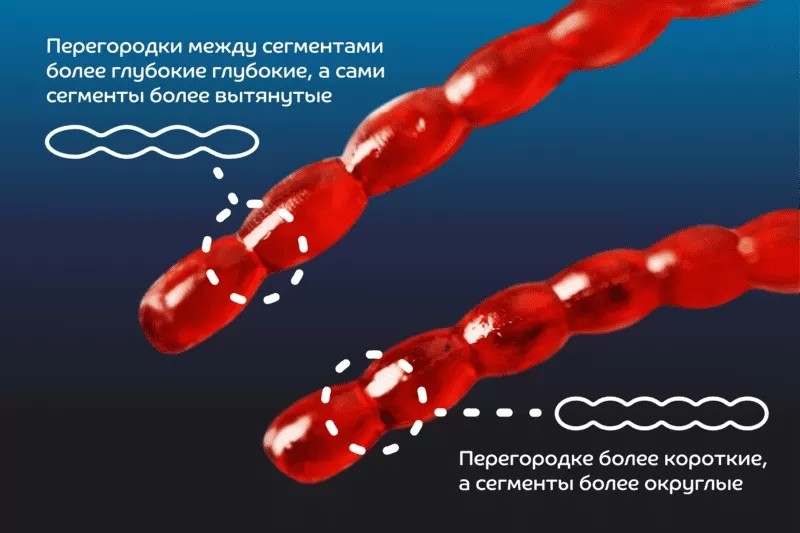 Силиконовая приманка CF Company Nano Worm 90 мм 23 шт 73   86-90-73-6 — крупный план
	                                    2