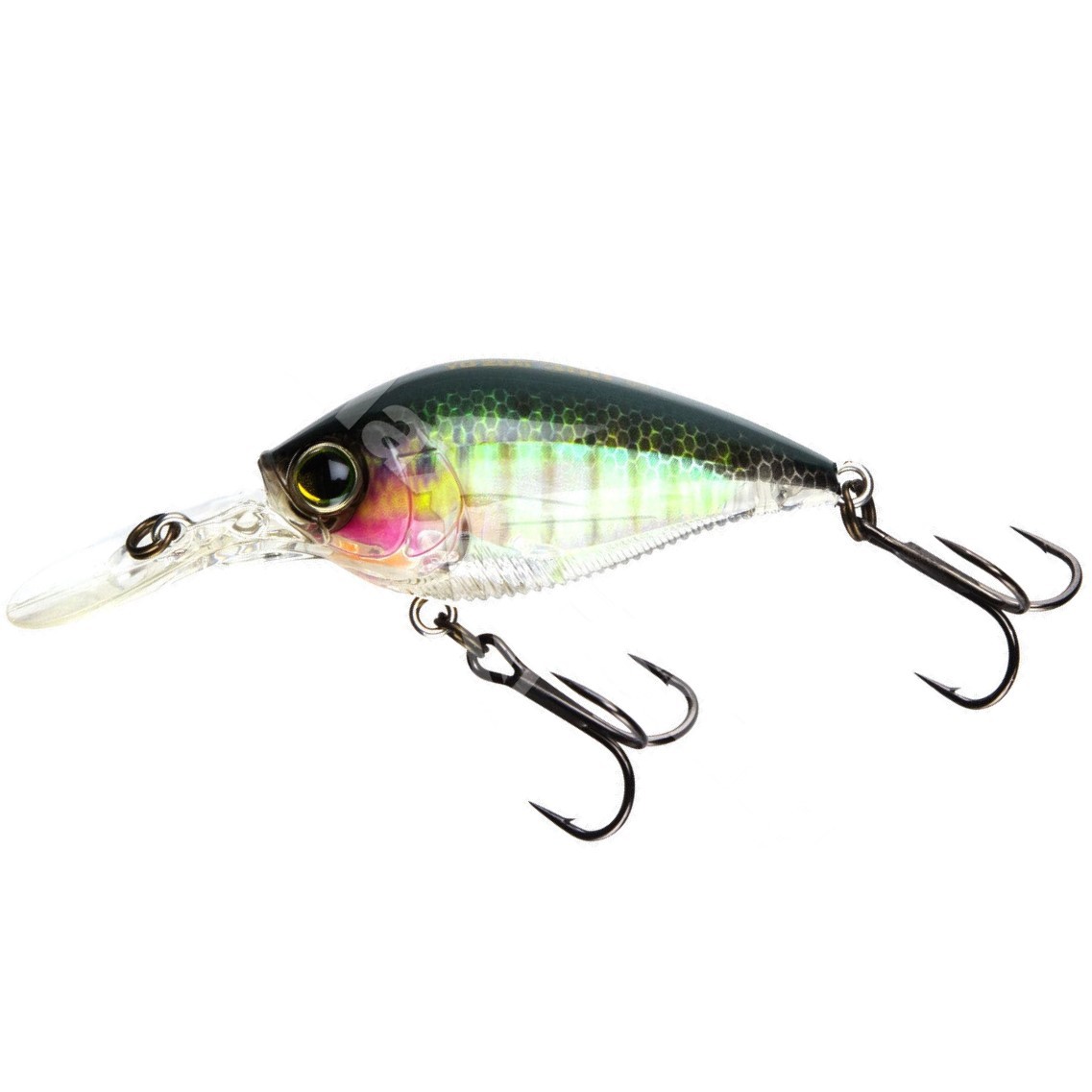 Воблер Yo-Zuri 3DB Crank 1.5 MR 60F RBG 13,5 гр   R1353-RBG — характеристики,  особенности конструкции