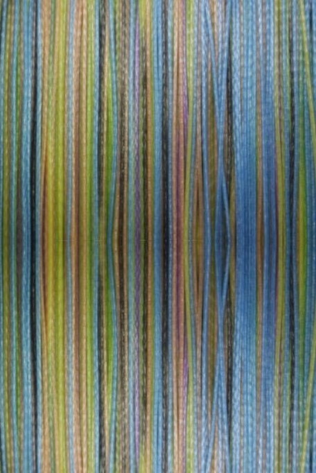 Плетеный шнур YGK X-Braid Upgrade Omnium X8 200 м  PE # 0,6 Multicolor 0,128 мм — крупный план
	                                    2