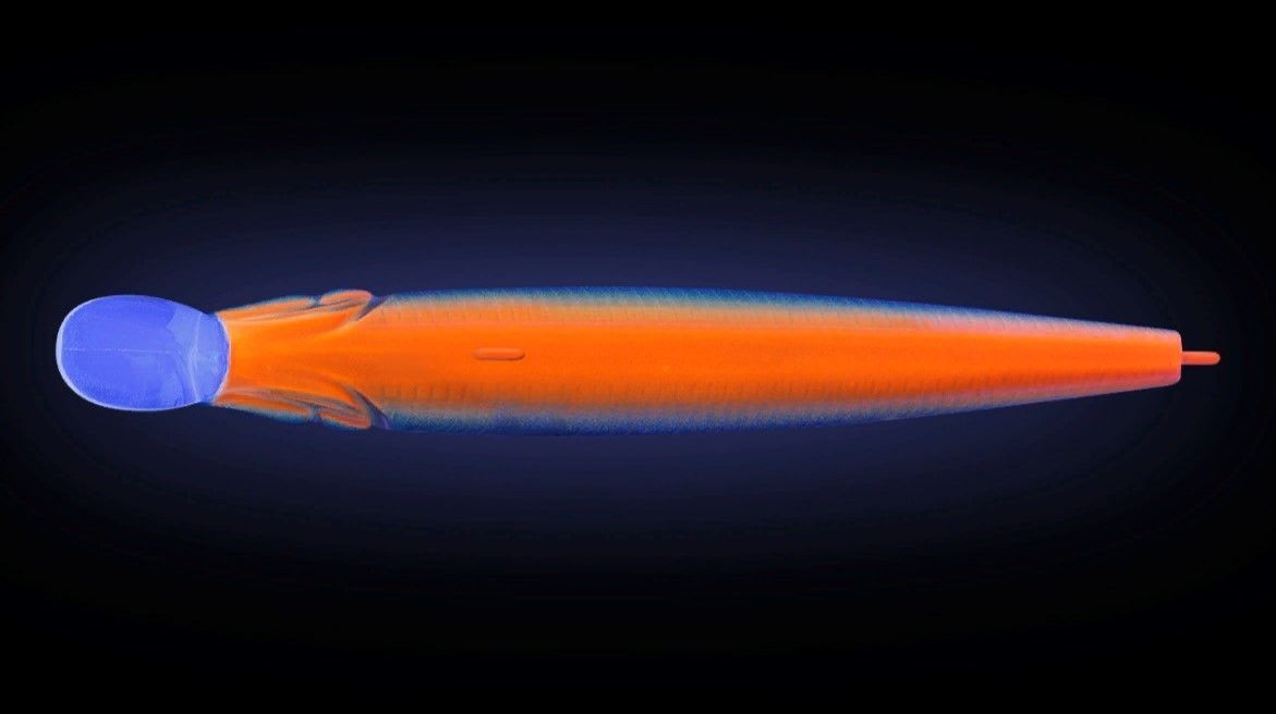 Воблер Strike Pro Inquisitor 80SP 613-713 Black Back Smoked OB 8,3 гр   EG-193A-SP#613-713 — крупный план
	                                    1