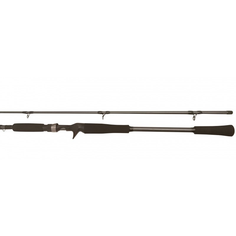 Кастинговое Удилище BFT Raptor G2 Jerkbait R2TJ66 201 см 150 гр  6,6  75-BFT-R2TJ66-2 — характеристики,
	                                    особенности конструкции