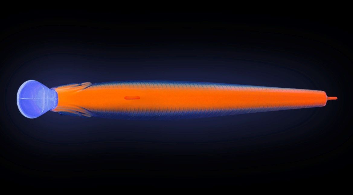 Воблер Strike Pro Jumper 110SP 612T Natural Shad Silver 16,3 гр   EG-192C-SP#612T — крупный план
	                                    1