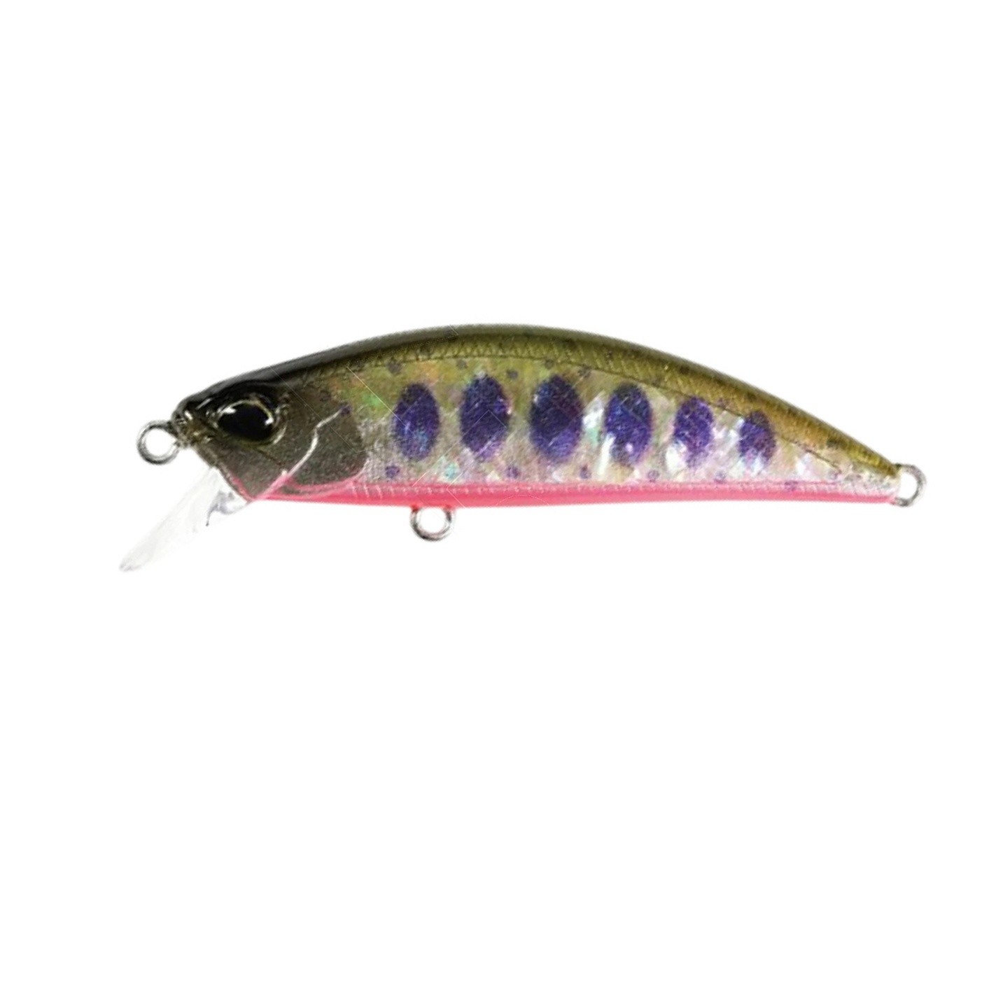 Воблер DUO Spearhead Ryuki 51S Awabi CCC4113 Yamame Red Belly Awabi 5,5 гр   DUO-03771 — характеристики,  особенности конструкции