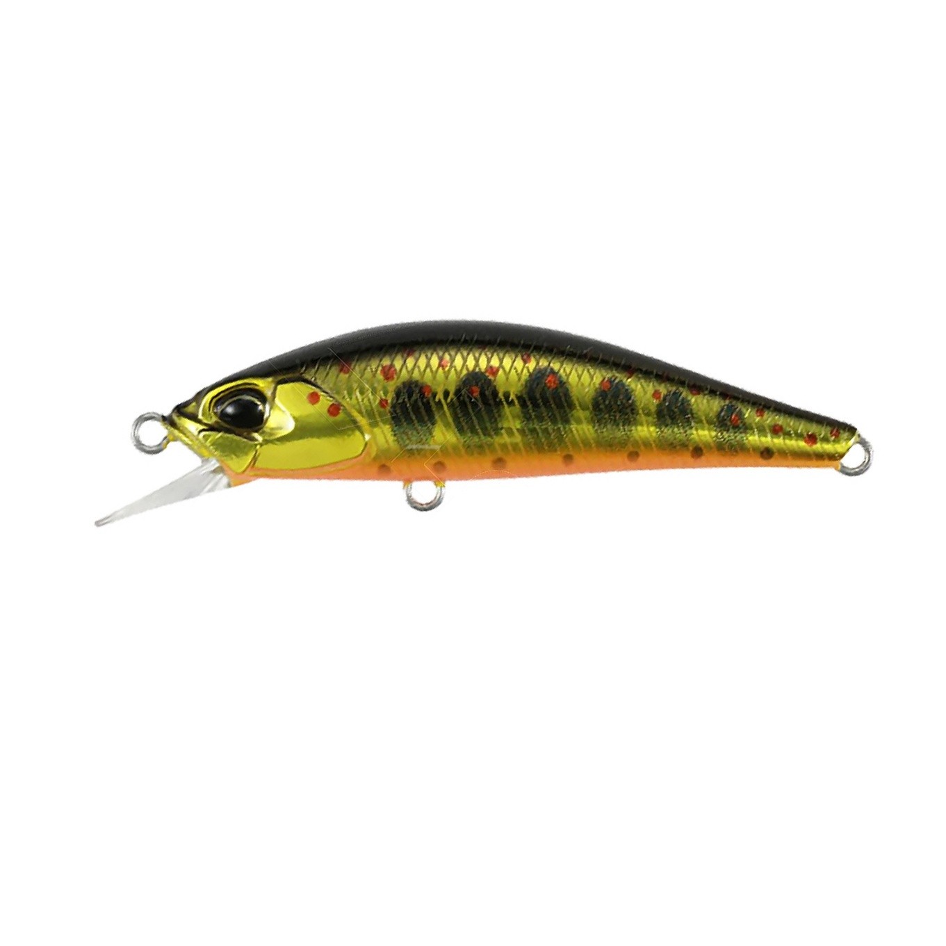 Воблер DUO Spearhead Ryuki 50S Takumi MCC4084 Gold Yamame 4 гр   DUO-33368 — характеристики,  особенности конструкции