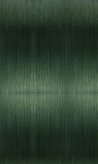 Плетеный шнур Hanzo Pandora X4 125 м  PE # 1 Green 0,17 мм   HanP-Gr/1.0 — крупный план
	                                    1