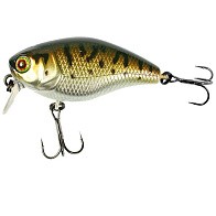 Воблер Jackall Cherry 1 Footer 46 Bass Coach 7,2 гр — варианты, разновидности модели