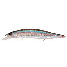 Воблер DUO Realis Jerkbait 120SP ADA3713 18 гр   DUO-RJB-120SP-ADA3713 — цена и наличие в каталоге