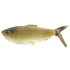 Силиконовая приманка 13 Fishing The Dine Swimbait 4.25 110 мм 3 шт GR   CB-DINE4.25-3 — цена и наличие в каталоге