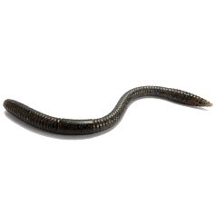 Силиконовая приманка Noike Smile Worm Mammy 135 мм 12 шт 034   NKSWM034 — цена и наличие в каталоге