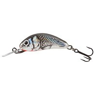 Воблер Salmo Hornet S 03.5 HGS 2,6 гр   QHT023 — варианты, разновидности модели