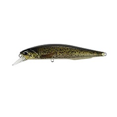 Воблер DUO Realis Jerkbait 100SP Pike Limited CCC3815 14,5 гр   DUO-90104 — цена и наличие в каталоге