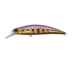 Воблер DUO Spearhead Ryuki 70S CSAZ287 Iwana UV Glow 9 гр   DUO-21065 — цена и наличие в каталоге