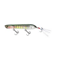Воблер Yo-Zuri 3DB Pencil Popper 110F RBG 15 гр   R1444-RBG — варианты, разновидности модели