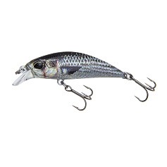 Воблер DUO Spearhead Ryuki 45S SW DST0804 Mullet ND 4 гр   DUO-91583 — цена и наличие в каталоге