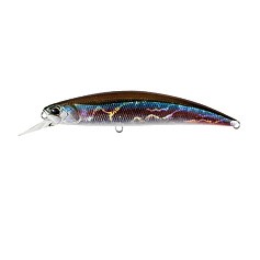 Воблер DUO Spearhead Ryuki 110S SW ADA4013 Wakasagi 21 гр   DUO-57722 — цена и наличие в каталоге