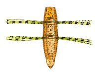 Силиконовая приманка Fish Arrow AirBag Bug 1.2 30 мм 6 шт 04-Moebi   FAAB1204 — варианты, разновидности модели