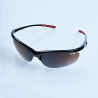 Очки Alaskan Delta  Brown Поляризационные  AG10-02 — варианты, разновидности модели