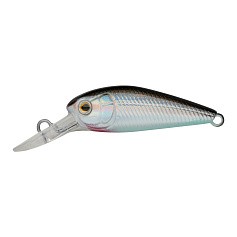 Воблер Strike Pro Deep UL Rider 34 A010-EP Black Back Silver 2 гр   EG-197SP#A010-EP — цена и наличие в каталоге