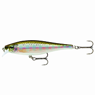 Воблер Rapala BX Minnow 10 RT 12 гр   BXM10-RT — варианты, разновидности модели