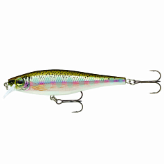 Воблер Rapala BX Minnow 10 RT 12 гр   BXM10-RT — цена и наличие в каталоге