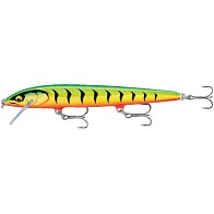 Воблер Rapala Floater Elite 120 GDFT 10 гр   FE120-GDFT — варианты, разновидности модели