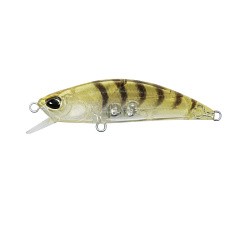 Воблер DUO Spearhead Ryuki 50SP CCC0312 Gold Shrimp 3,3 гр   DUO-06758 — цена и наличие в каталоге
