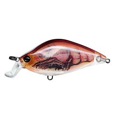 Воблер Yo-Zuri 3DR Flat Crank 55F RBCF 7,5 гр   R1320-RBCF — цена и наличие в каталоге
