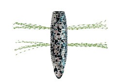 Силиконовая приманка Fish Arrow AirBag Bug 1.2 30 мм 6 шт T02-Crystal Green T   FAAB12T02 — цена и наличие в каталоге