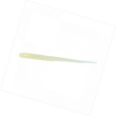 Силиконовая приманка Daiwa Gekkabijin Shirasu Beam 1.5 38 мм 10 шт Weak Glow Lemon — цена и наличие в каталоге