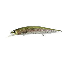 Воблер DUO Realis Jerkbait 120SP Pike Limited CCC3836 Rainbow Trout ND 17,8 гр   DUO-80587 — цена и наличие в каталоге