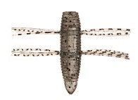 Силиконовая приманка Fish Arrow AirBag Bug 1.2 30 мм 6 шт 06-Smoke/silver   FAAB1206 — варианты, разновидности модели