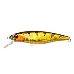 Воблер Pontoon 21 Greedy Guts 77F-SR 437 CB Crash HG Gold Perch 9 гр   P21-GGT-77F-SR-437 — цена и наличие в каталоге