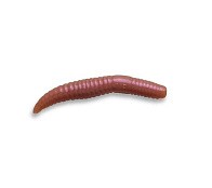 Силиконовая приманка CF MF Baby Worm 2 50 мм 8 шт 52   66-50-52-7 — варианты, разновидности модели