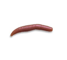 Силиконовая приманка CF MF Baby Worm 2 50 мм 8 шт 52   66-50-52-7 — цена и наличие в каталоге