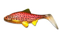 Силиконовая приманка Ola Lures Hooligan Roach 210 мм 1 шт Glitter Bow Kanalgratis  HR-G-BOW-08 — варианты, разновидности модели