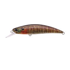 Воблер DUO Spearhead Ryuki 70S CCC3357 True Gill 9 гр   DUO-70912 — цена и наличие в каталоге