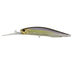 Воблер DUO Realis Jerkbait 100 DR CCC3176 Morning Dawn 15,6 гр   DUO-30565 — цена и наличие в каталоге