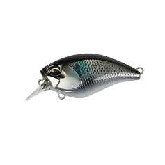 Воблер DUO Realis Crank Mid Roller 40F DSA3237 5,3 гр   DUO-37120 — цена и наличие в каталоге