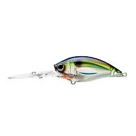 Воблер Yo-Zuri 3DB Deep Crank 70F PSSH Prism Sexy Shad 21 гр   R1108-PSSH — варианты, разновидности модели