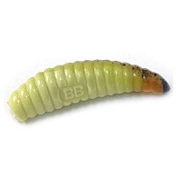 Силиконовая приманка Boroda Baits Sisilia 51 Floating 51 мм 6 шт Слеза ангела Фисташка   SSL51-F-232-1 — варианты, разновидности модели