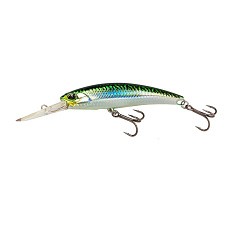 Воблер DUO Realis Fangbait 120 DR SW AHA0109 Mackerel Hd 26,7 гр   DUO-71544 — цена и наличие в каталоге