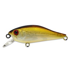 Воблер Pontoon 21 Cheerful 60SP-SR 317 Natural Brown 7,2 гр   P21-CHR-60SP-SR-317 — цена и наличие в каталоге