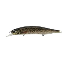 Воблер DUO Realis Jerkbait 120SP Pike Limited CCC3815 Brown Trout Nd 17,8 гр   DUO-80570 — цена и наличие в каталоге