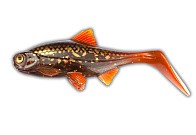 Силиконовая приманка Ola Lures Hooligan Roach Jr 150 мм 1 шт Motorpike Kanalgratis  HR-JR15-01 — варианты, разновидности модели