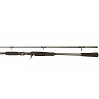 Кастинговое Удилище BFT Raptor G2 Jerkbait R2TJ66 201 см 150 гр  6,6  75-BFT-R2TJ66-2 — варианты, разновидности модели